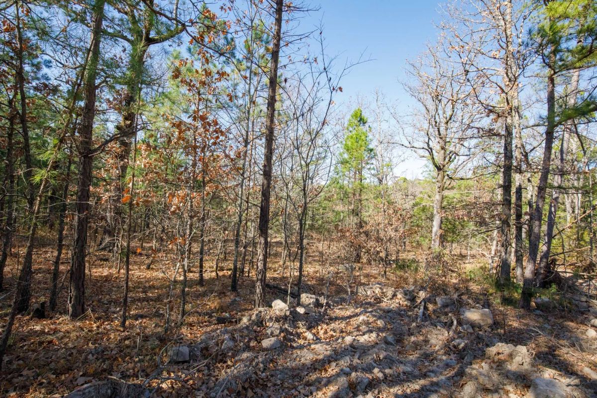 Decorative background for Stone Bridge Phase II Tract 100 image 15