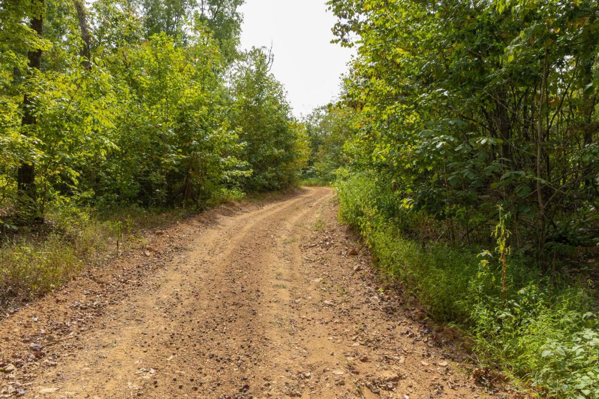 Big White Oak Tract 62 - Main image