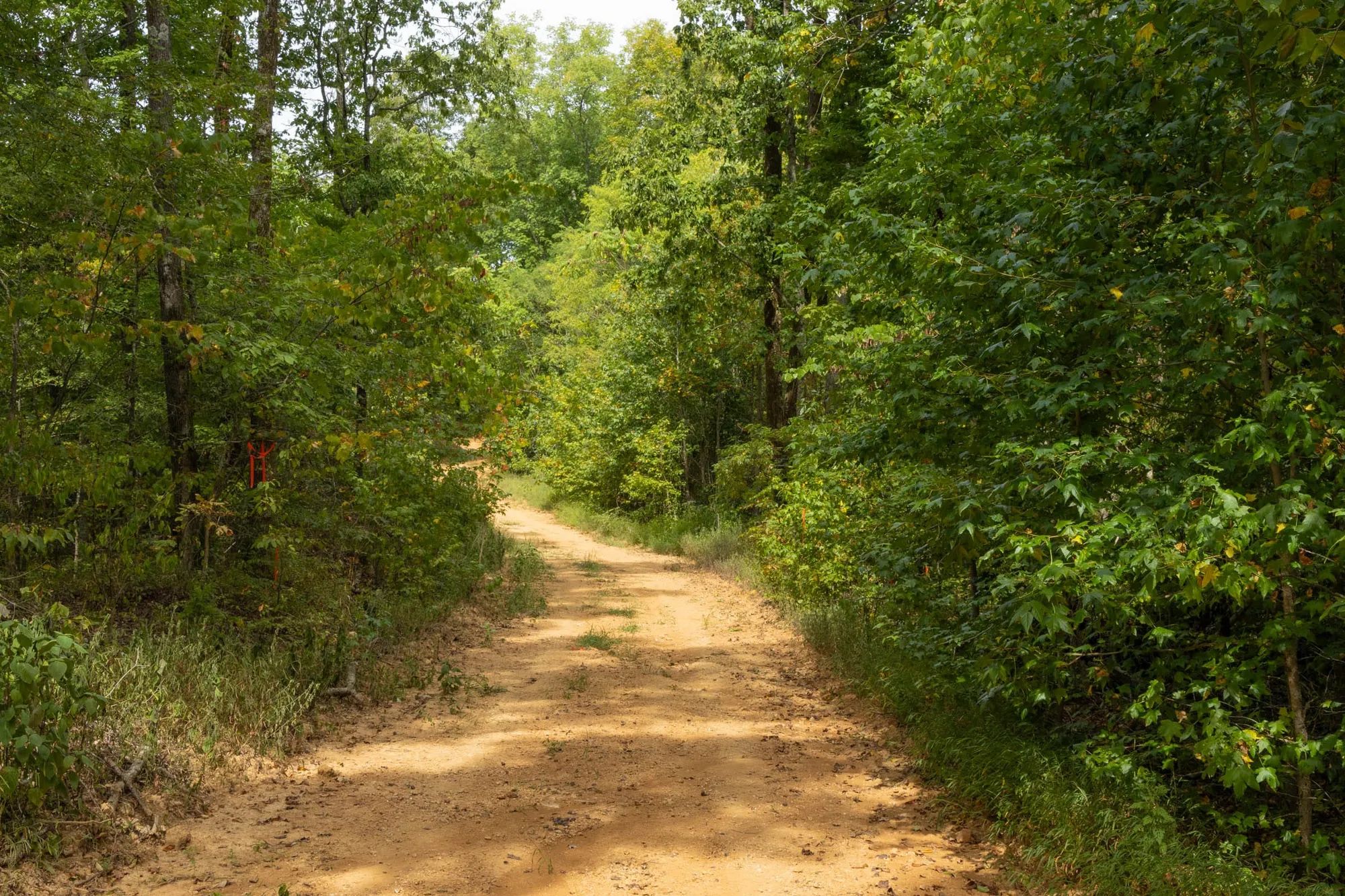 Big White Oak Tract 62 in Perry County, TN