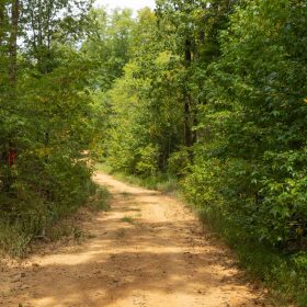 Big White Oak Tract 62 in Perry County, TN