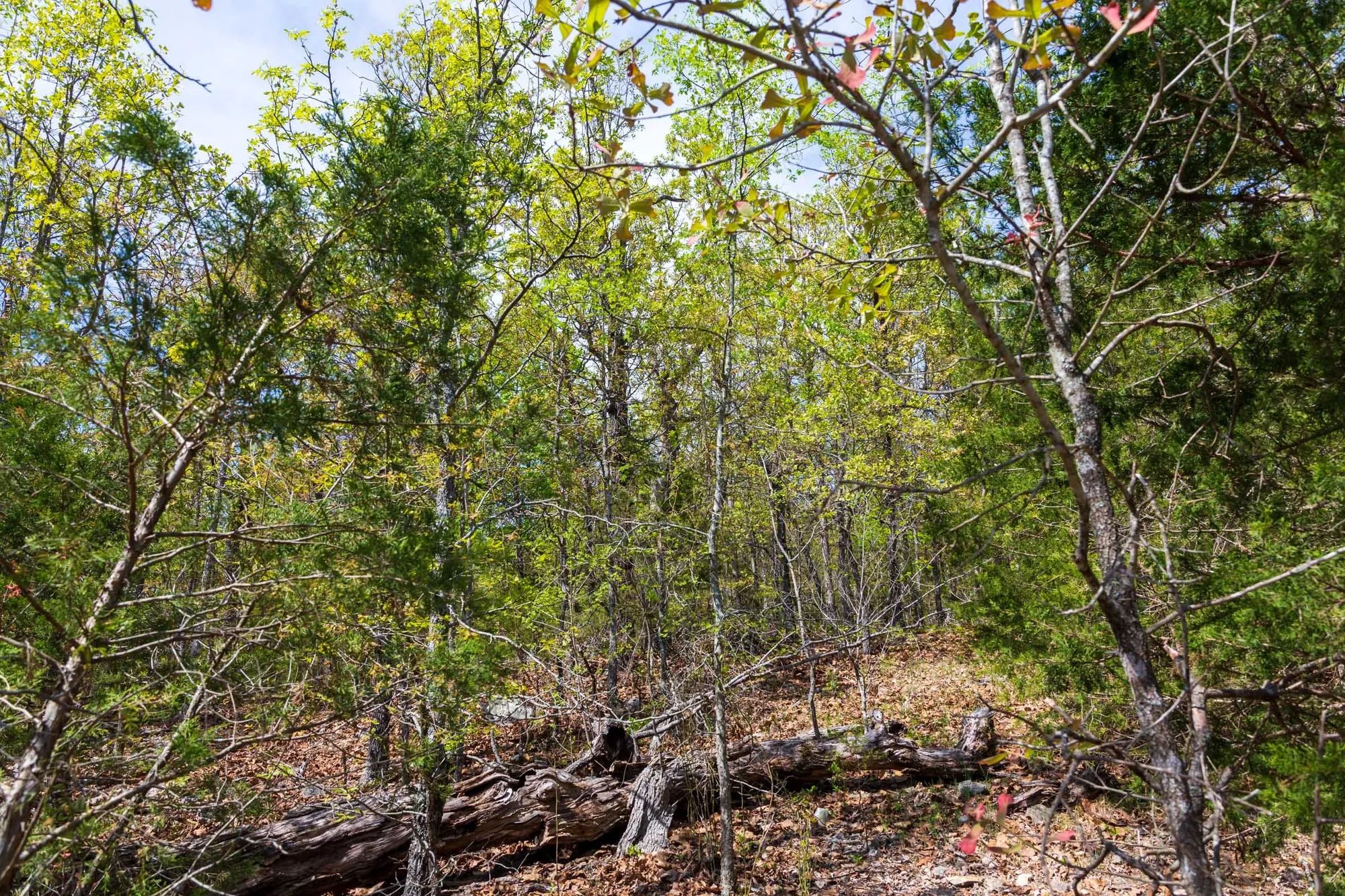 Autumnwood Tract 9 in Fulton County, AR