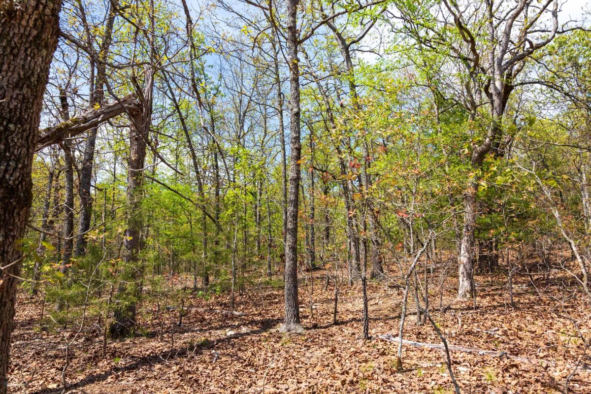 Decorative background for Autumnwood Tract 9 image 11