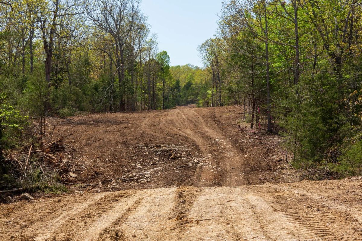 Decorative background for Autumnwood Tract 9 image 12