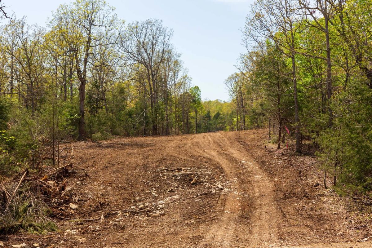 Decorative background for Autumnwood Tract 9 image 15