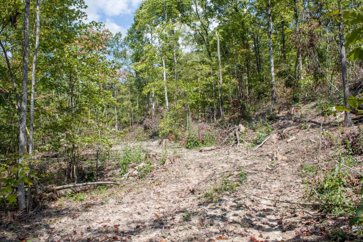 Buck Run Ridge Tract 21 - Main image