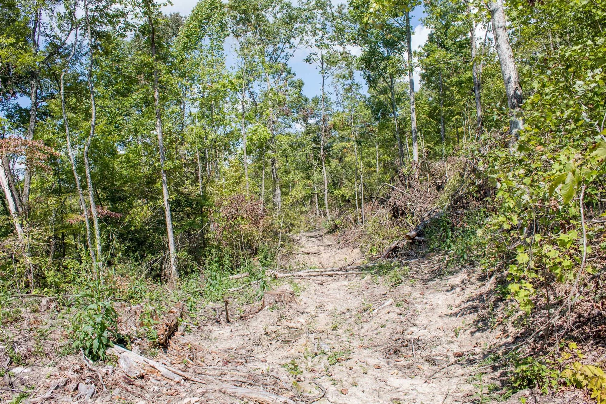 Buck Run Ridge Tract 21 in Wayne County, KY