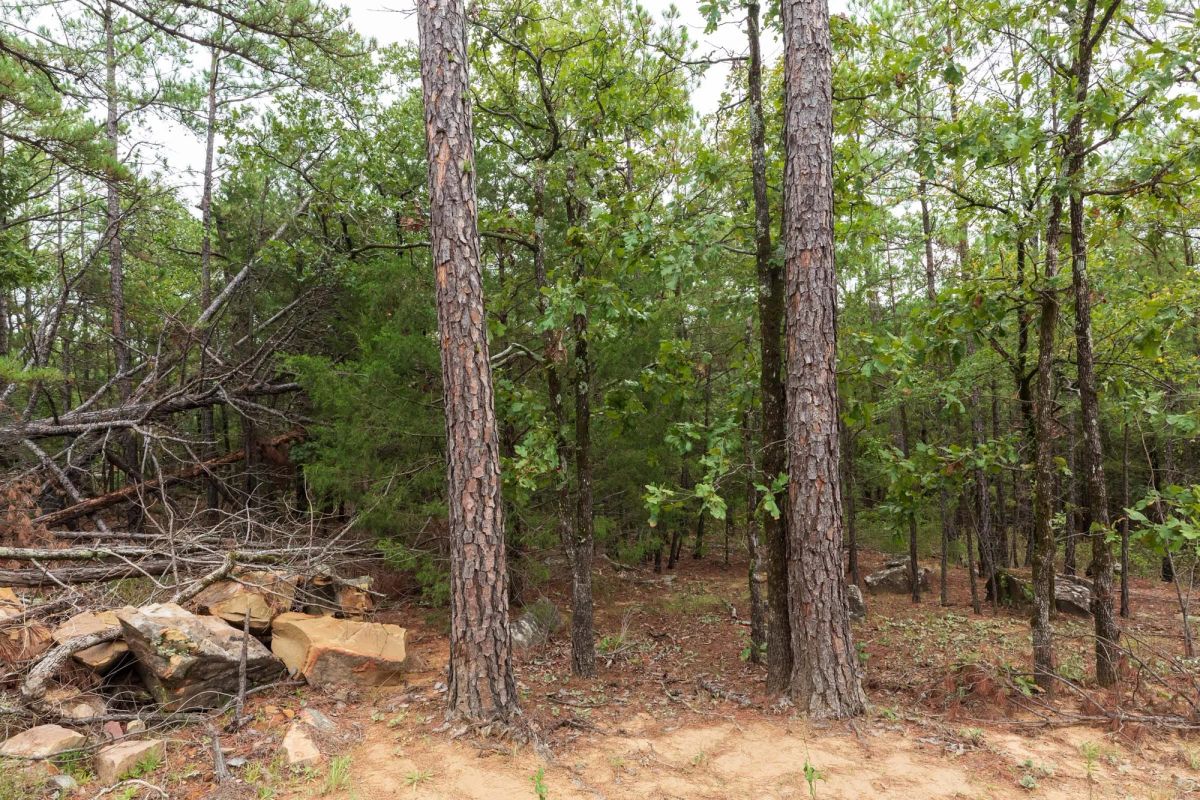Stone Bridge Phase V Tract 420 - Image 3