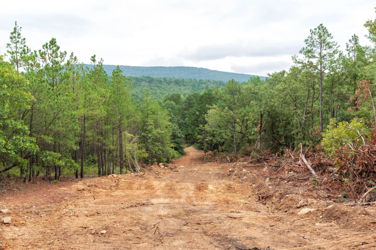 Decorative background for Stone Bridge Phase V Tract 420 image 7