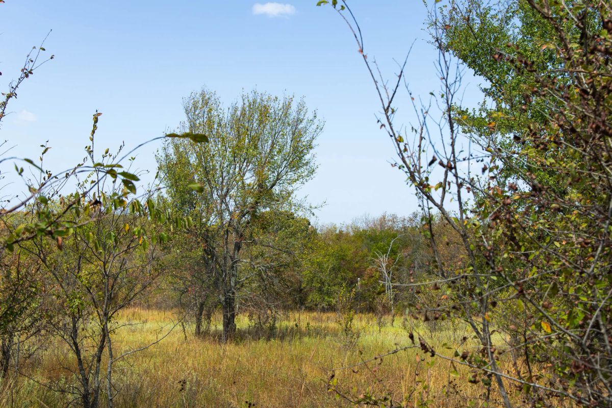 Gracyn Meadows Tract 18 - Main image