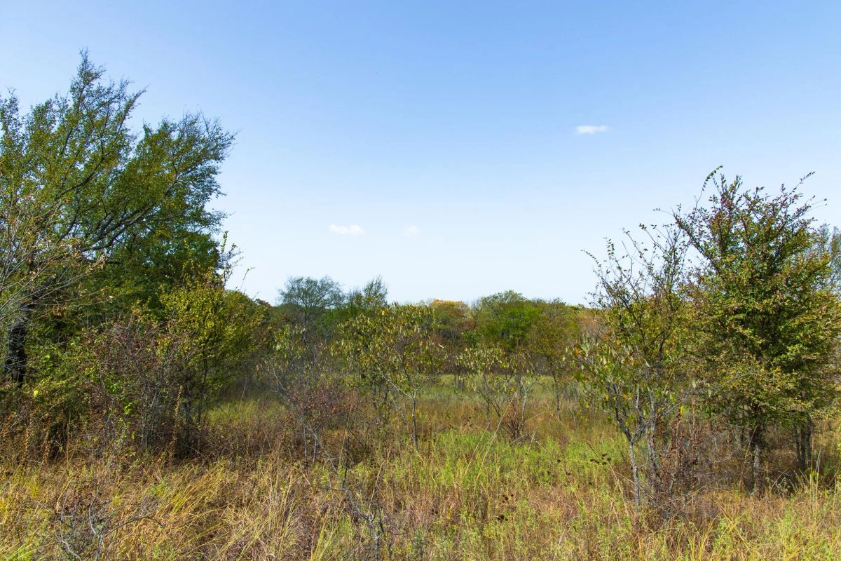 Gracyn Meadows Tract 18 - Image 3