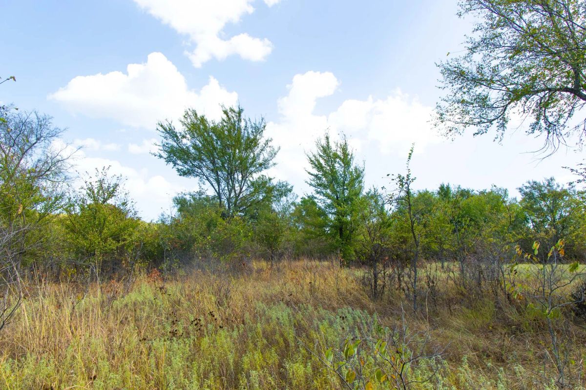 Decorative background for Gracyn Meadows Tract 18 image 9