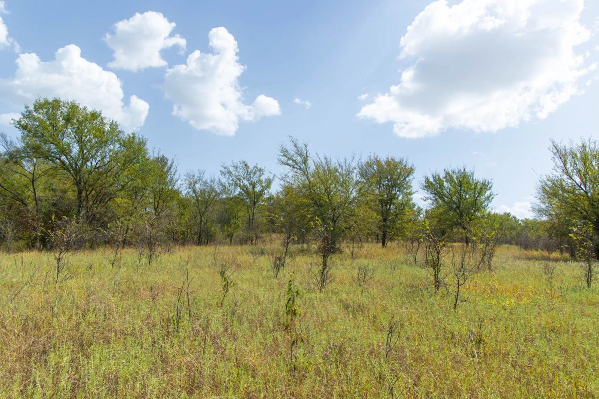 Decorative background for Gracyn Meadows Tract 18 image 13
