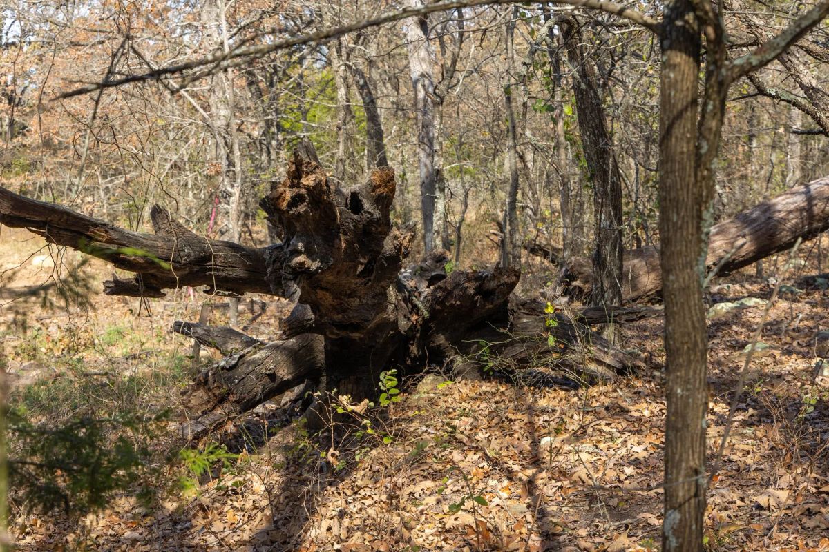 Harmony Hills Tract 49 - Main image