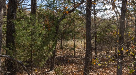 Harmony Hills Tract 49 in Pittsburg County, OK