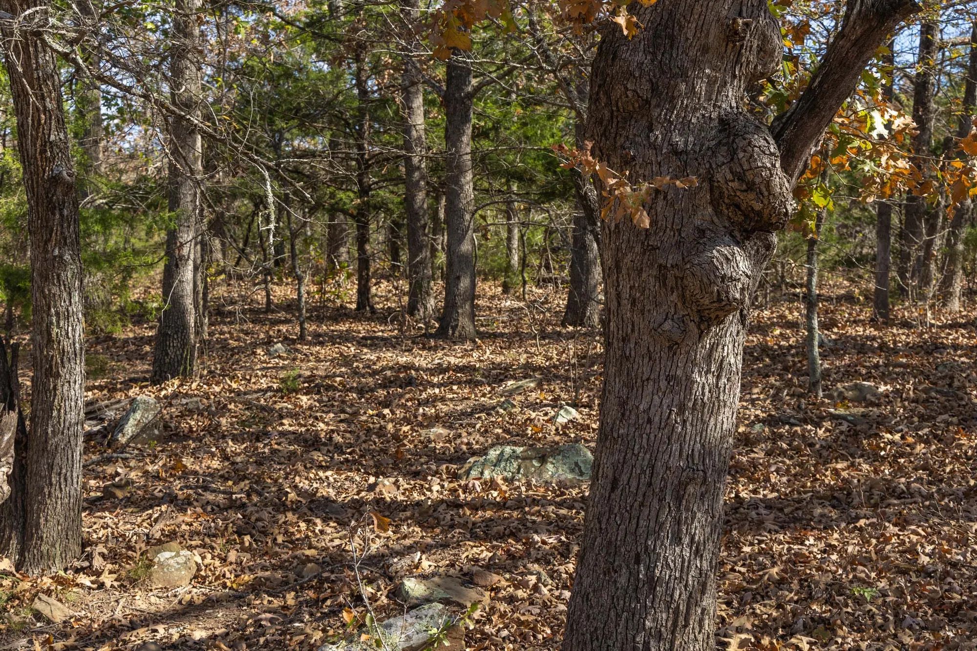 Harmony Hills Tract 49 in Pittsburg County, OK