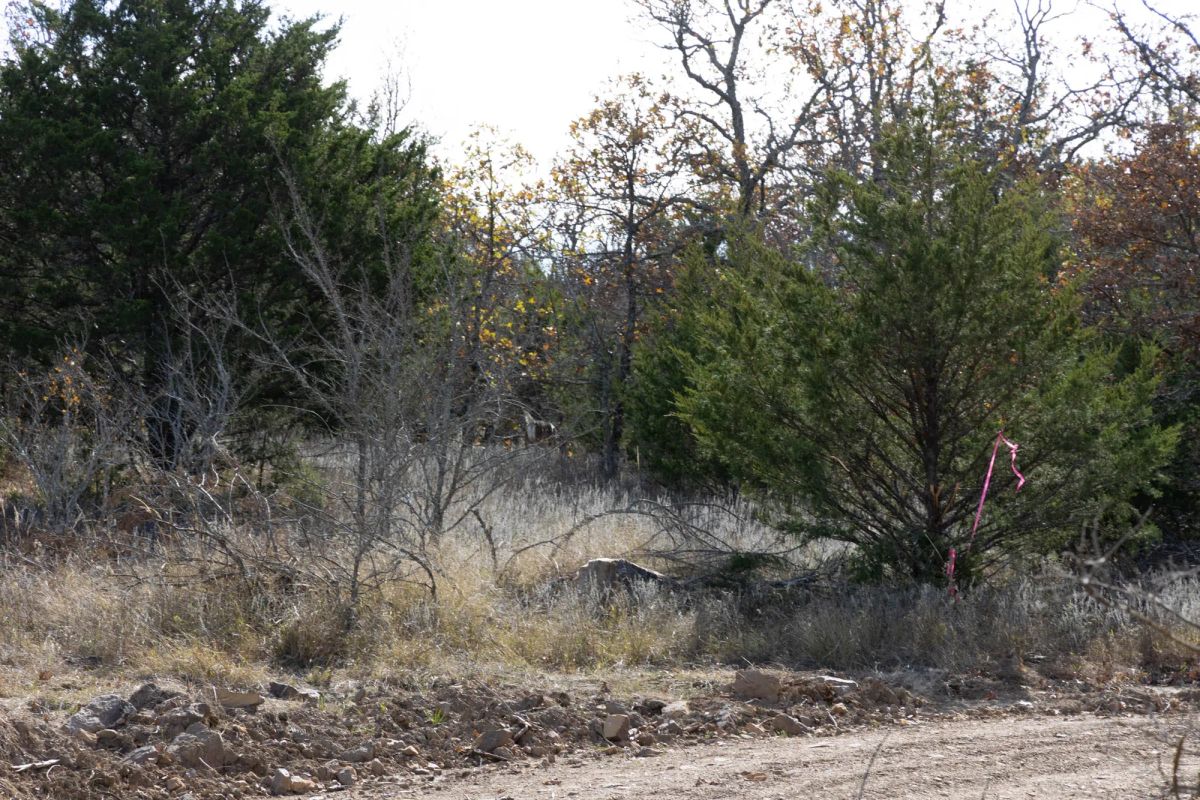 Decorative background for Harmony Hills Tract 49 image 5