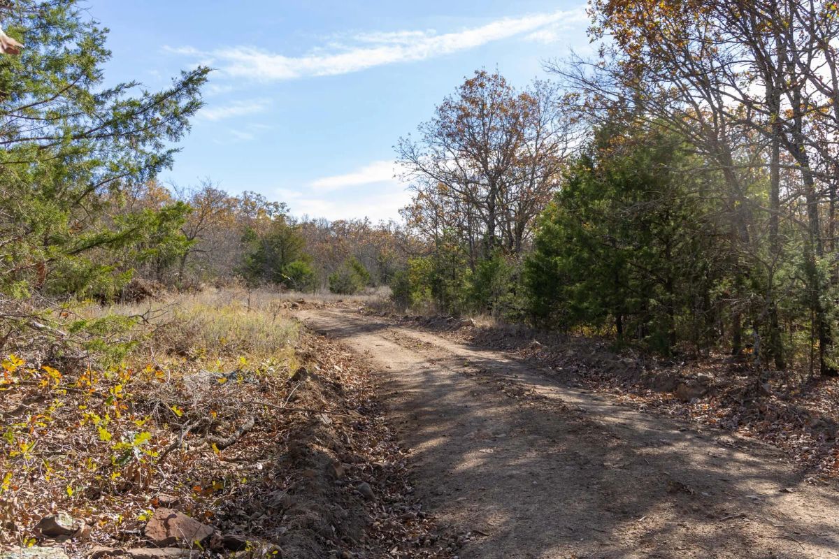 Decorative background for Harmony Hills Tract 49 image 8