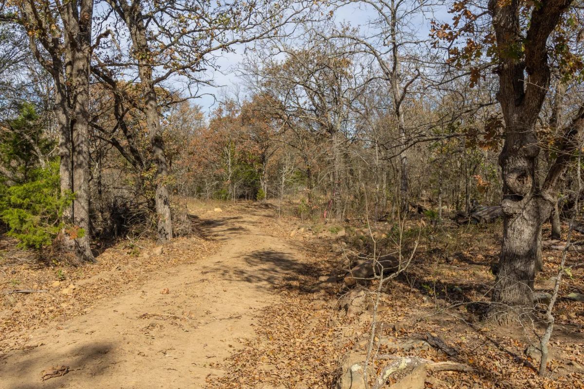 Decorative background for Harmony Hills Tract 49 image 9