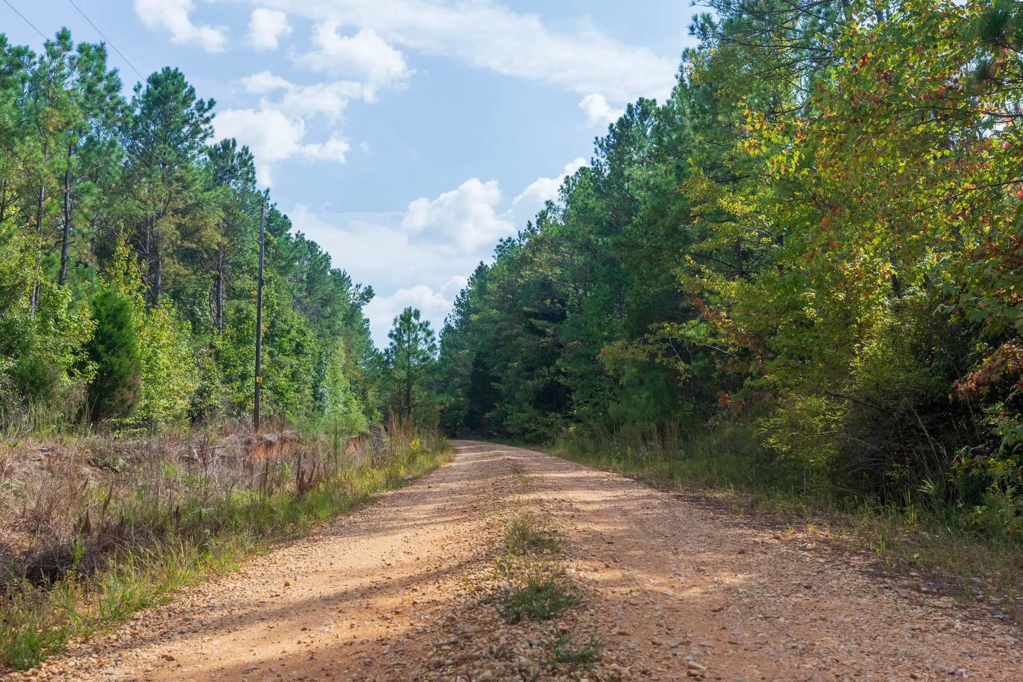 Willow Grove Tract 4 in Lamar County, AL