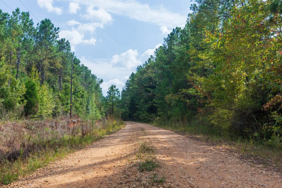 Willow Grove Tract 4 - Main image
