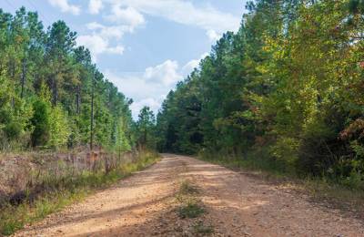 Willow Grove Tract 4