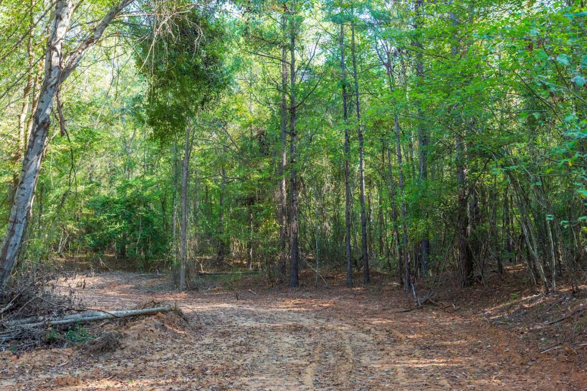 Willow Grove Tract 4 - Image 4