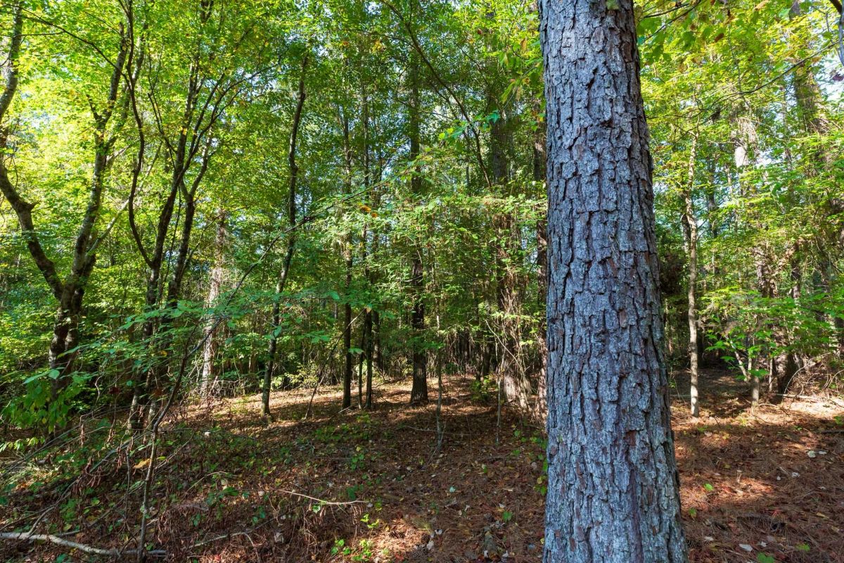 Decorative background for Willow Grove Tract 4 image 7