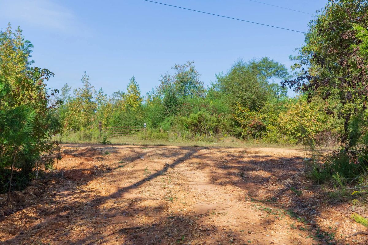 Decorative background for Willow Grove Tract 4 image 8