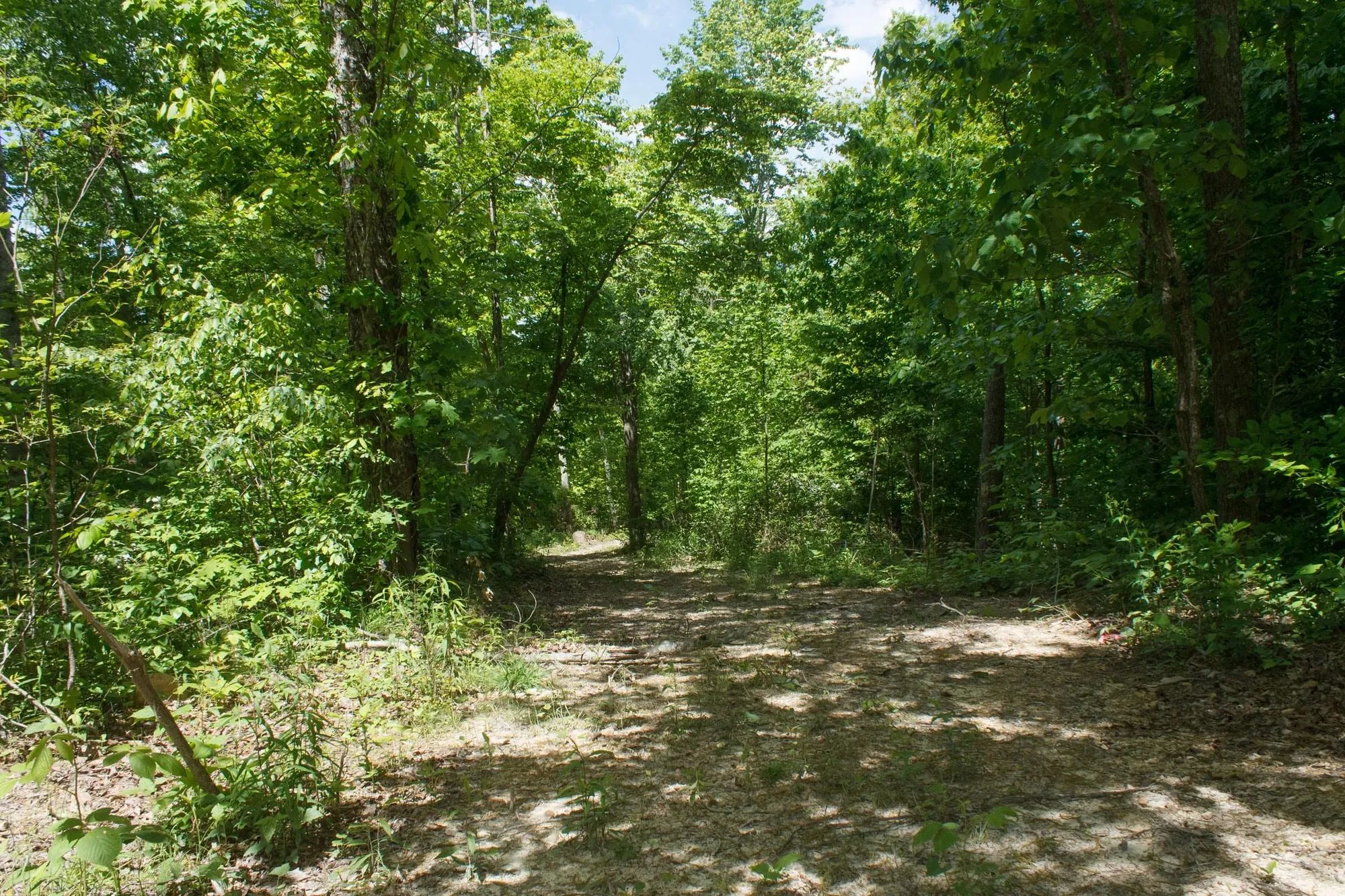 Riverbend Tract 13 in Wayne County, KY