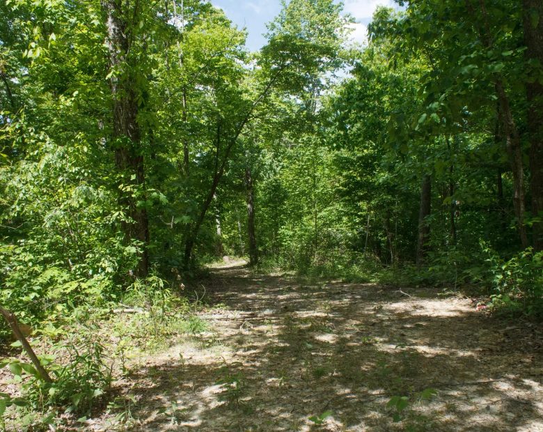 Riverbend Tract 13 in Wayne County, KY