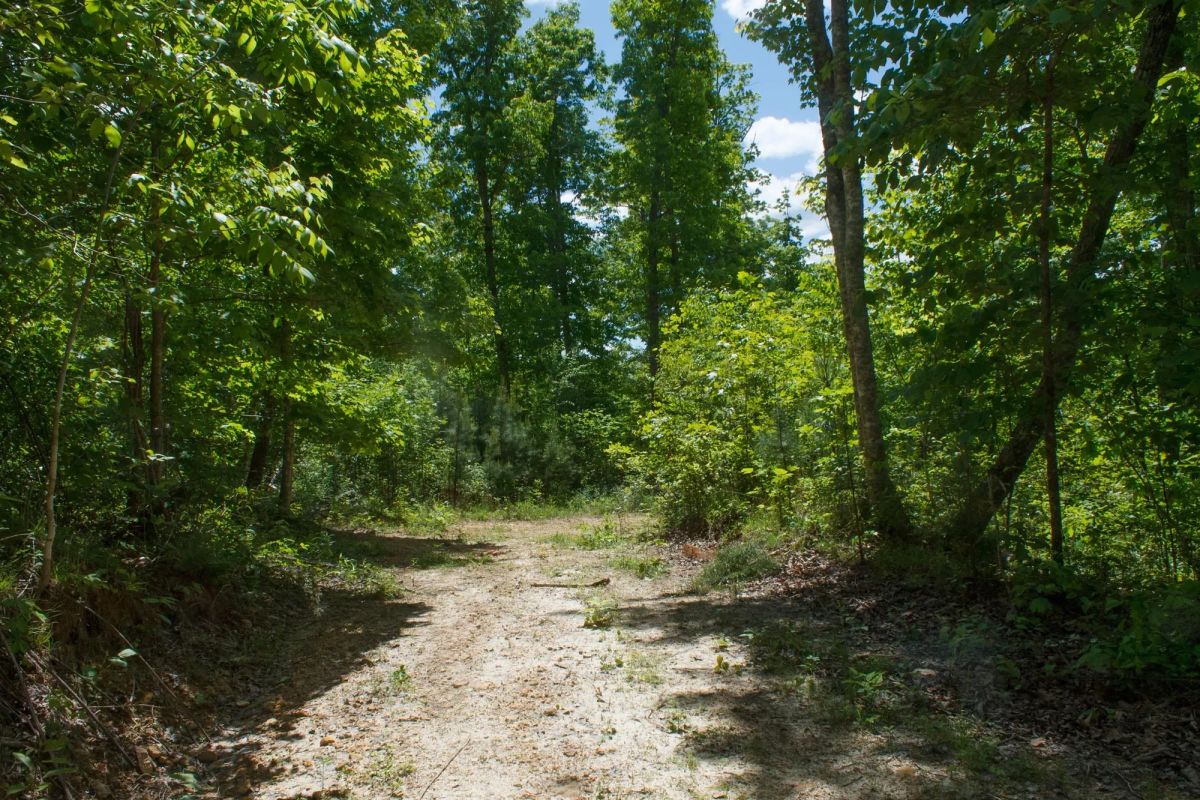 Riverbend Tract 13 - Image 2