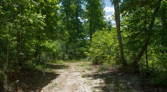 Riverbend Tract 13 in Wayne County, KY