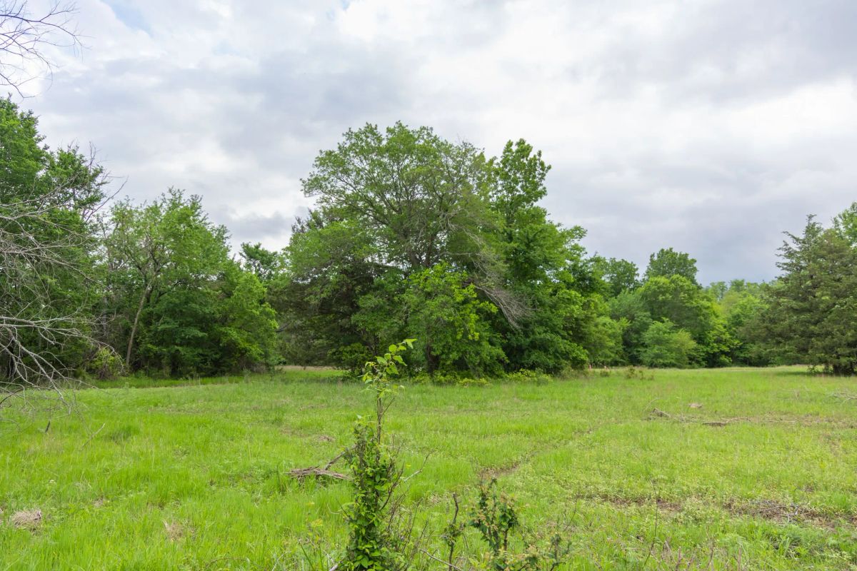Decorative background for Harmony Hills Tract 31 image 6