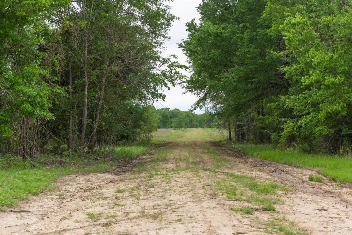Decorative background for Harmony Hills Tract 31 image 7