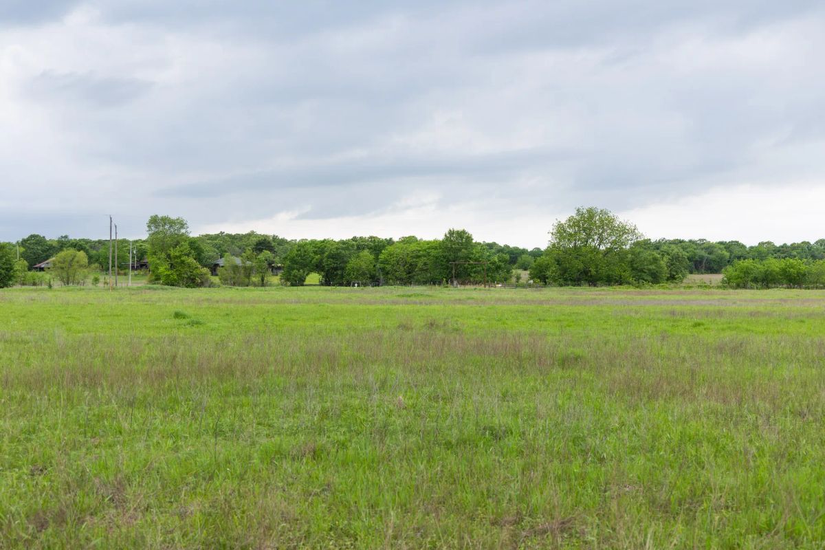 Decorative background for Harmony Hills Tract 31 image 9