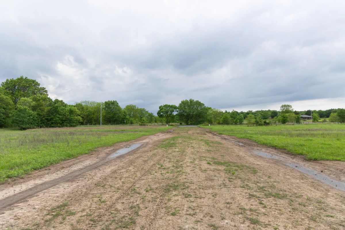 Decorative background for Harmony Hills Tract 31 image 10