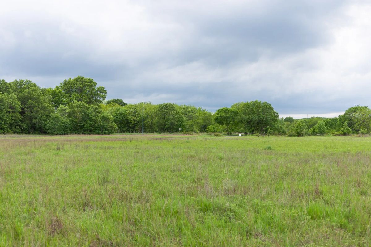 Decorative background for Harmony Hills Tract 31 image 11