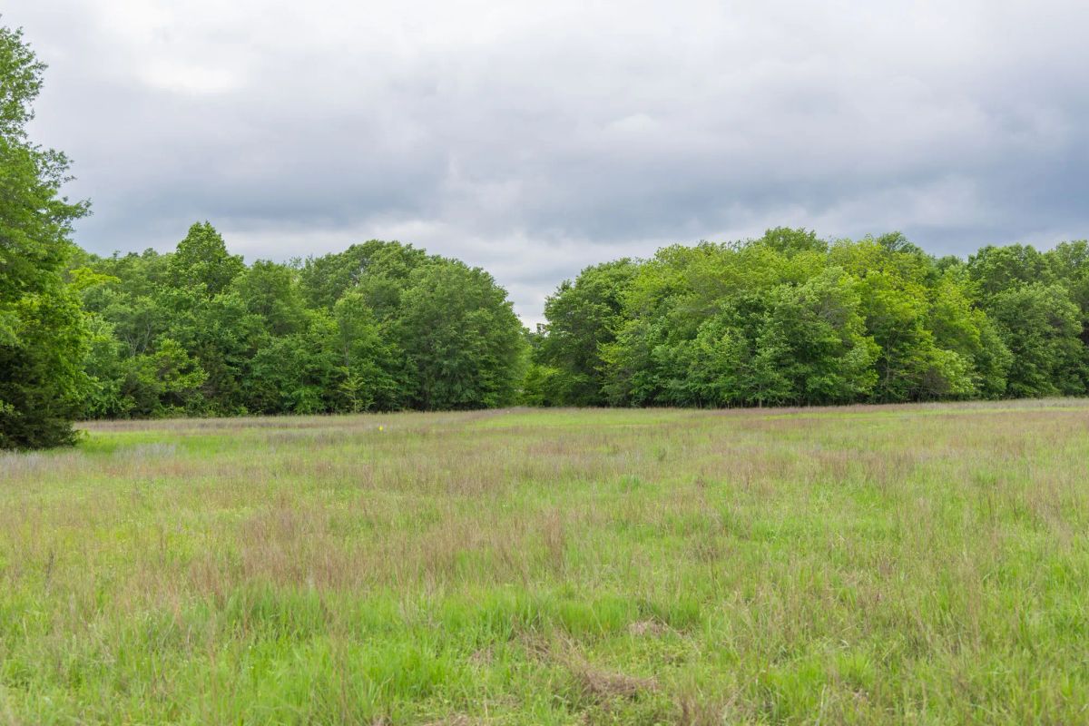 Decorative background for Harmony Hills Tract 31 image 13