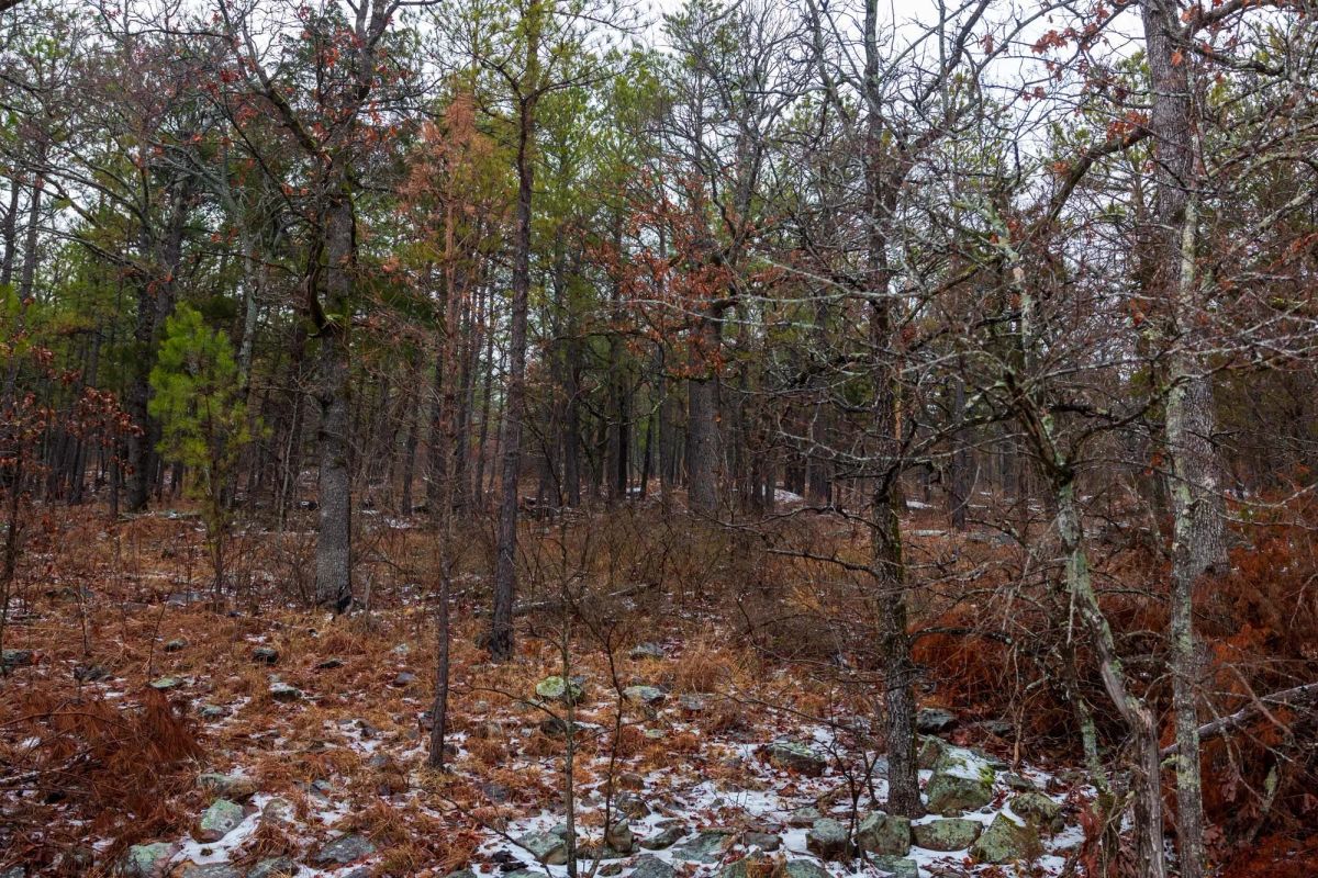 Stone Bridge Phase IV Tract 272 - Image 3