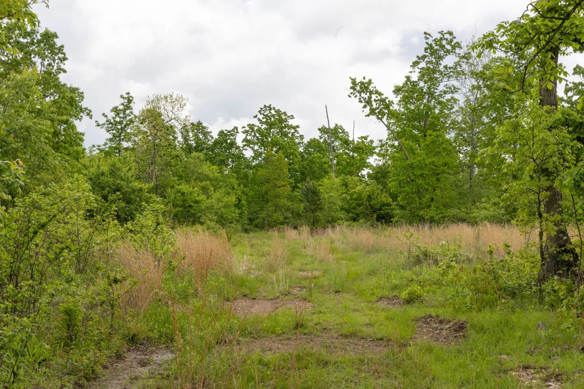 Sleepy Hollow Phase II Tract 66 in Texas County, MO