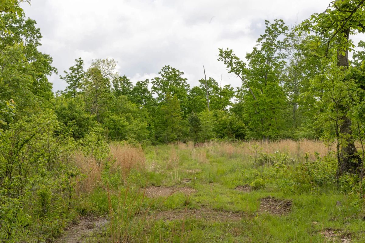 Sleepy Hollow Phase II Tract 66 - Main image