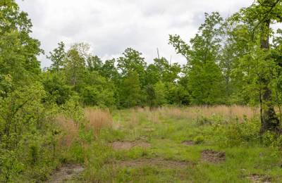 Sleepy Hollow Phase II Tract 66