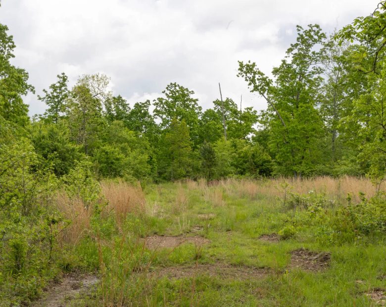 Sleepy Hollow Phase II Tract 66 in Texas County, MO