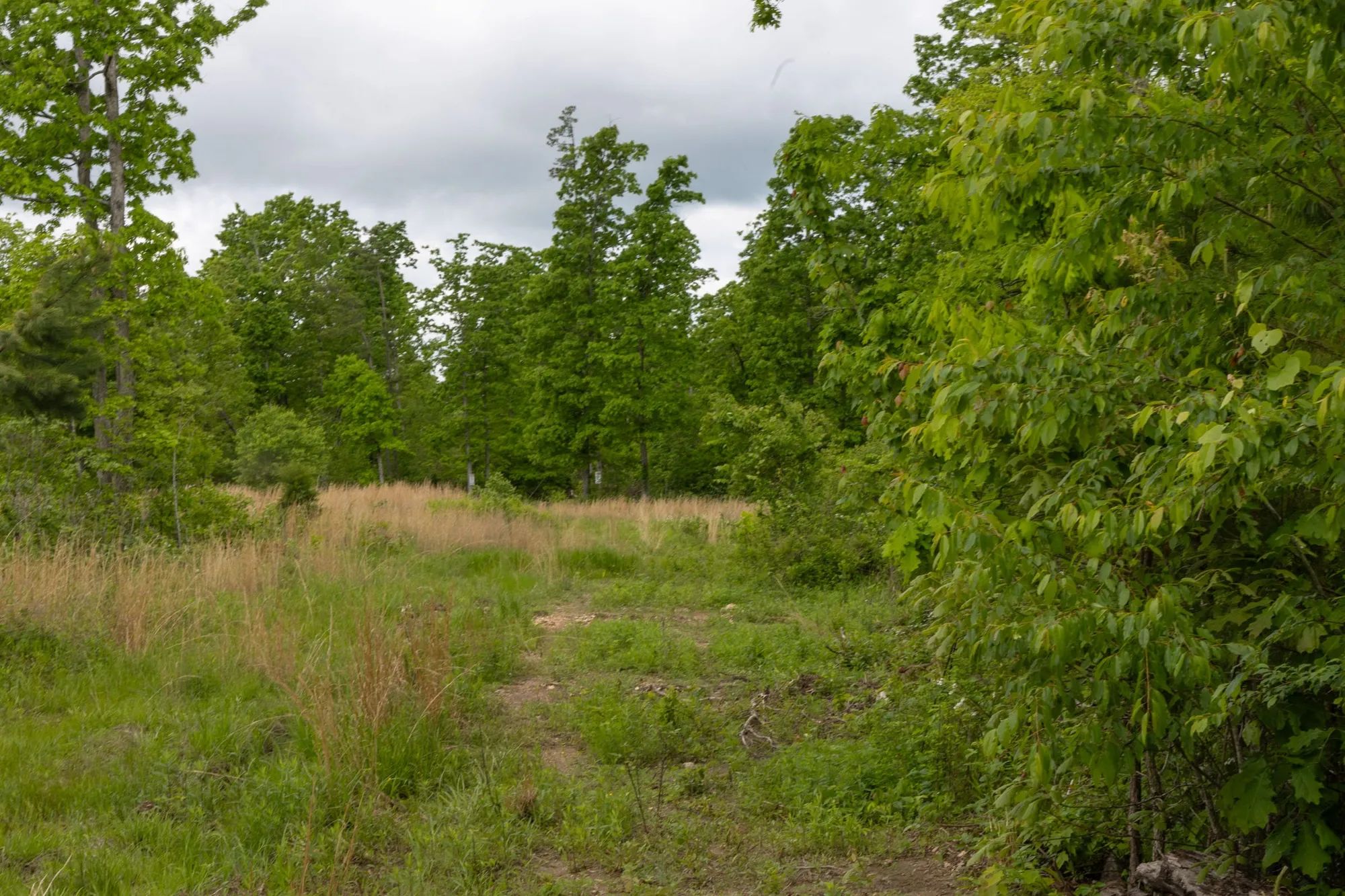 Sleepy Hollow Phase II Tract 66 in Texas County, MO