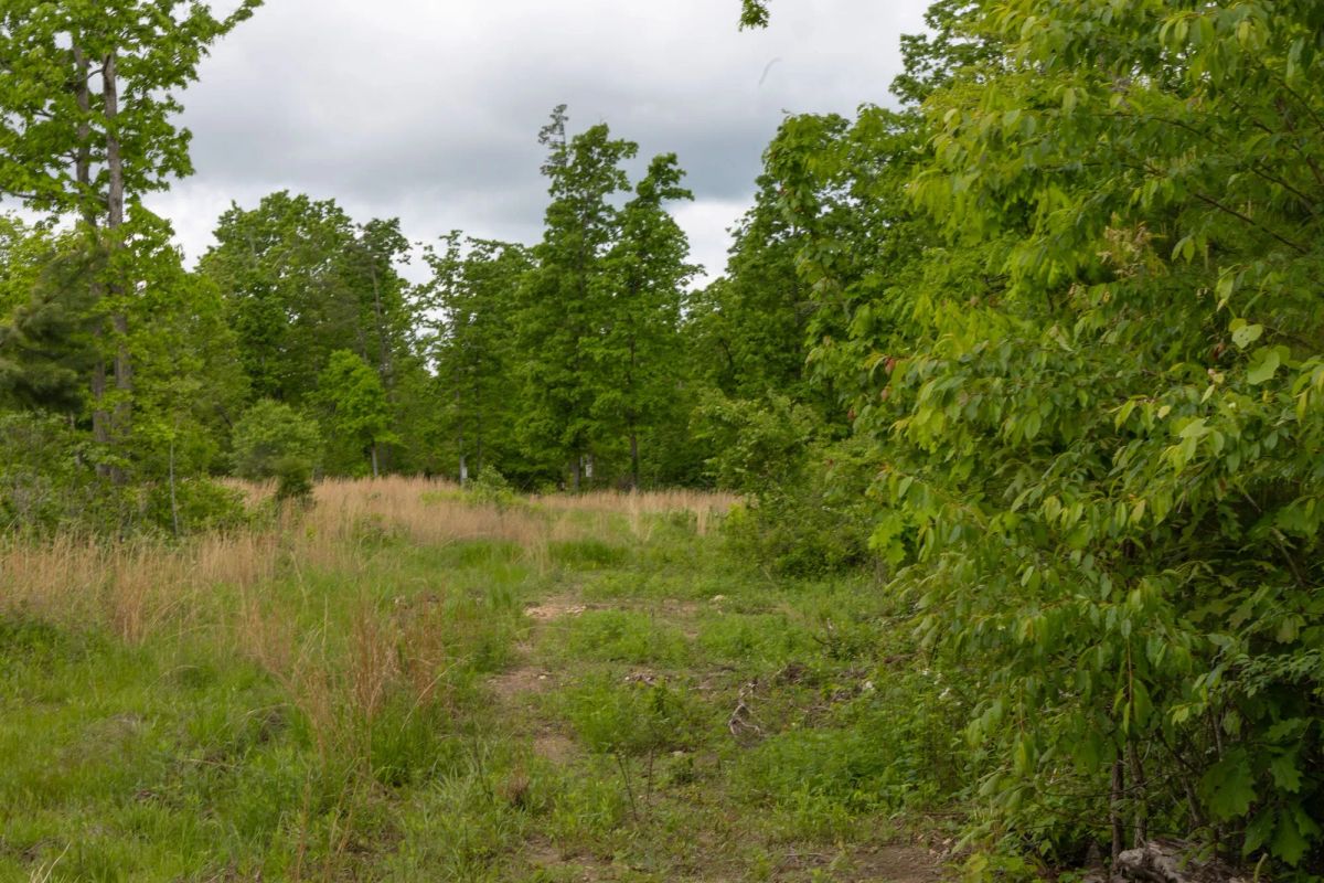 Sleepy Hollow Phase II Tract 66 - Image 2