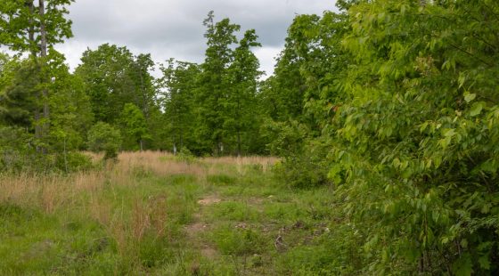 Sleepy Hollow Phase II Tract 66 in Texas County, MO