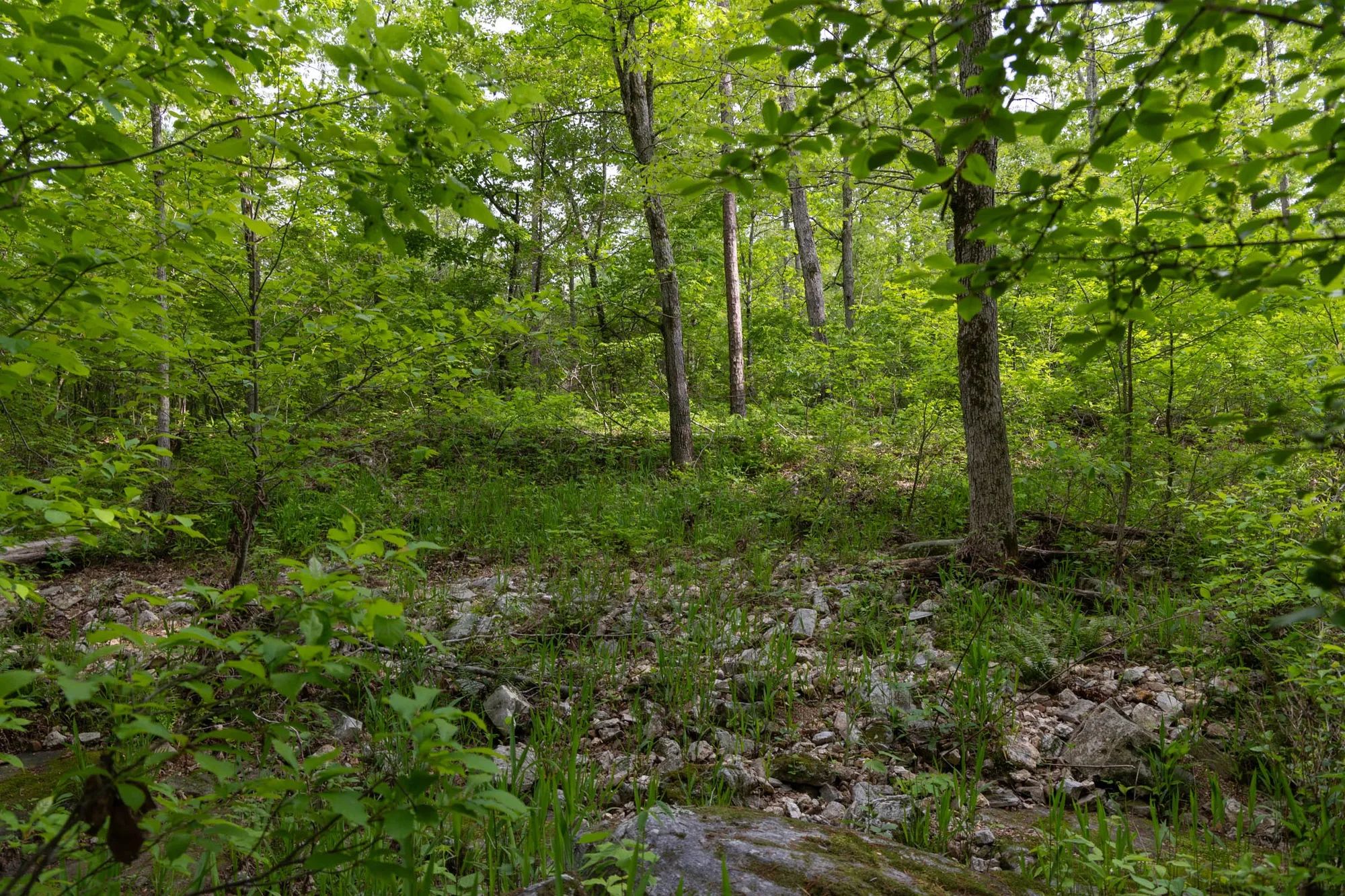 Sleepy Hollow Phase II Tract 66 in Texas County, MO