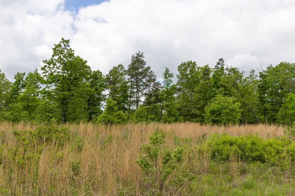 Decorative background for Sleepy Hollow Phase II Tract 66 image 5