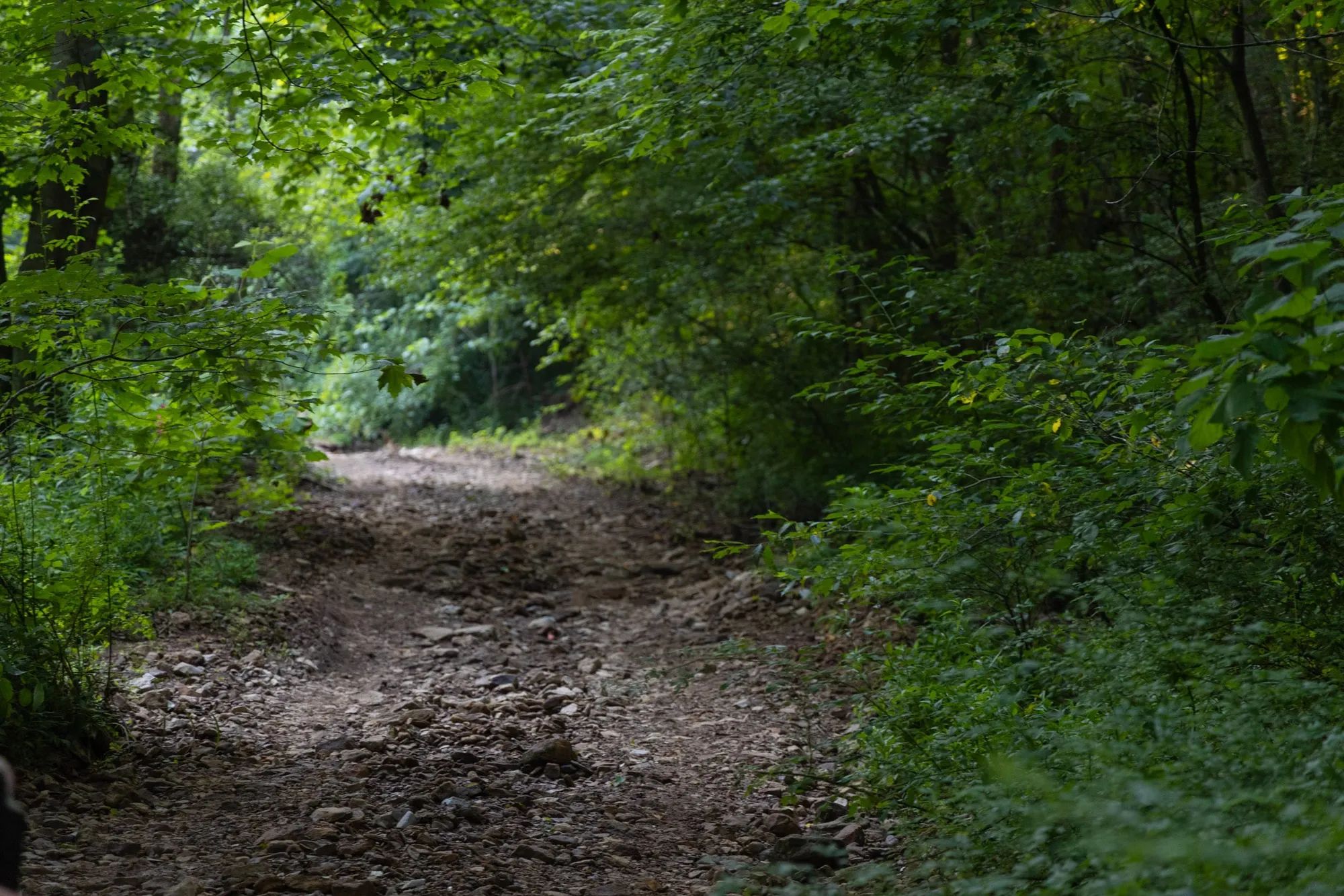Creek Hollow Phase II Tract 62 in Rockcastle County, KY