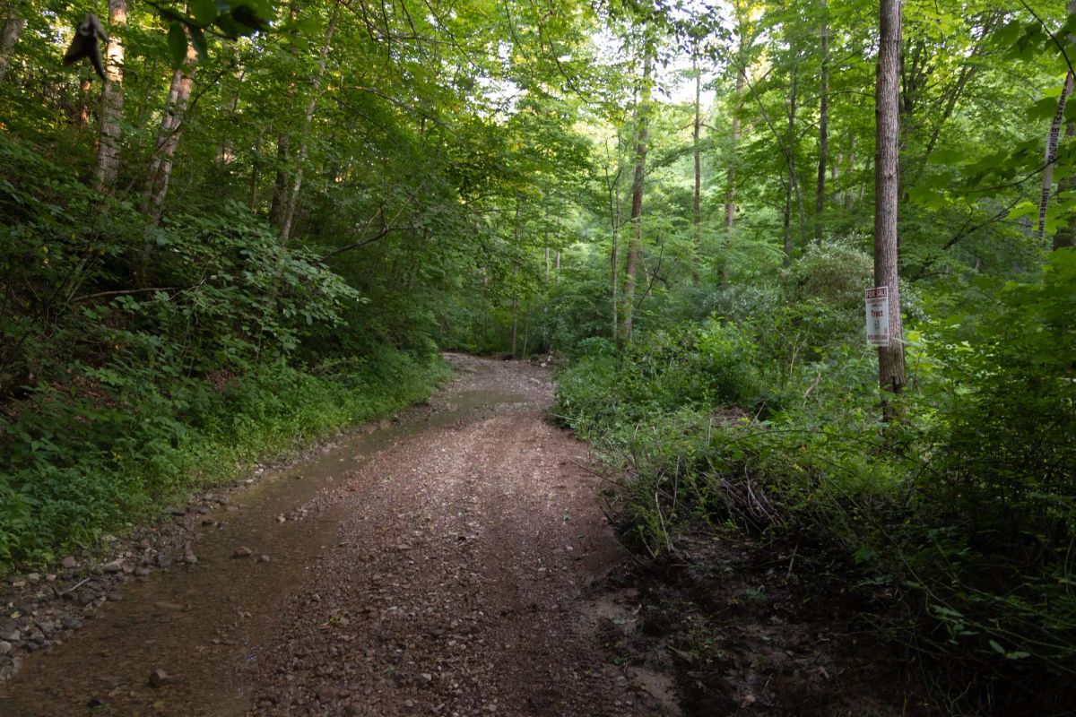 Decorative background for Creek Hollow Phase II Tract 62 image 9